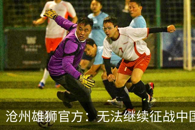 沧州雄狮官方：无法继续征战中国足球职业联赛